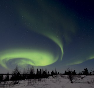 PA-2020-Canada, Manitoba, Baie d’Hudson, Parc National de Wapusk, aurore boréale