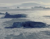 PA-1053-Groenland-Savissivik, icebergs